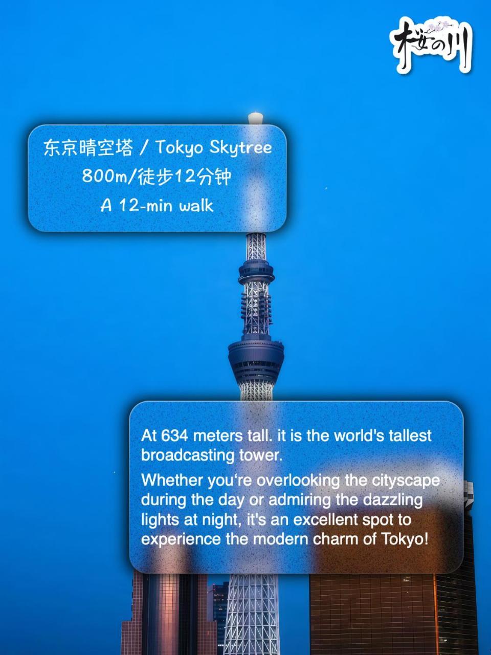 桜の川6 Asakusa 704 Skytree Bus 1 Min,Free Wifi,Cook,24 Hours Convenience 東京都 外观 照片